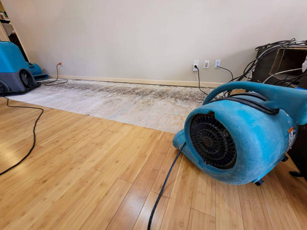 Professional Ceiling Water Damage Repair technician working in Scottdale, PA